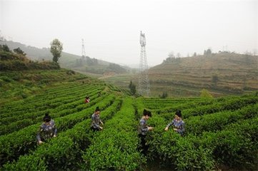 湖南新化经济开发区